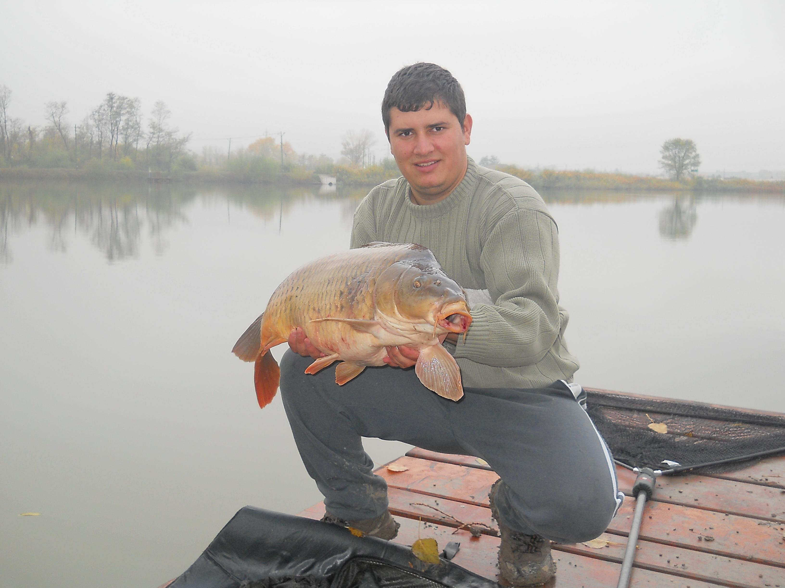 Pleasa - DSCN0018.JPG